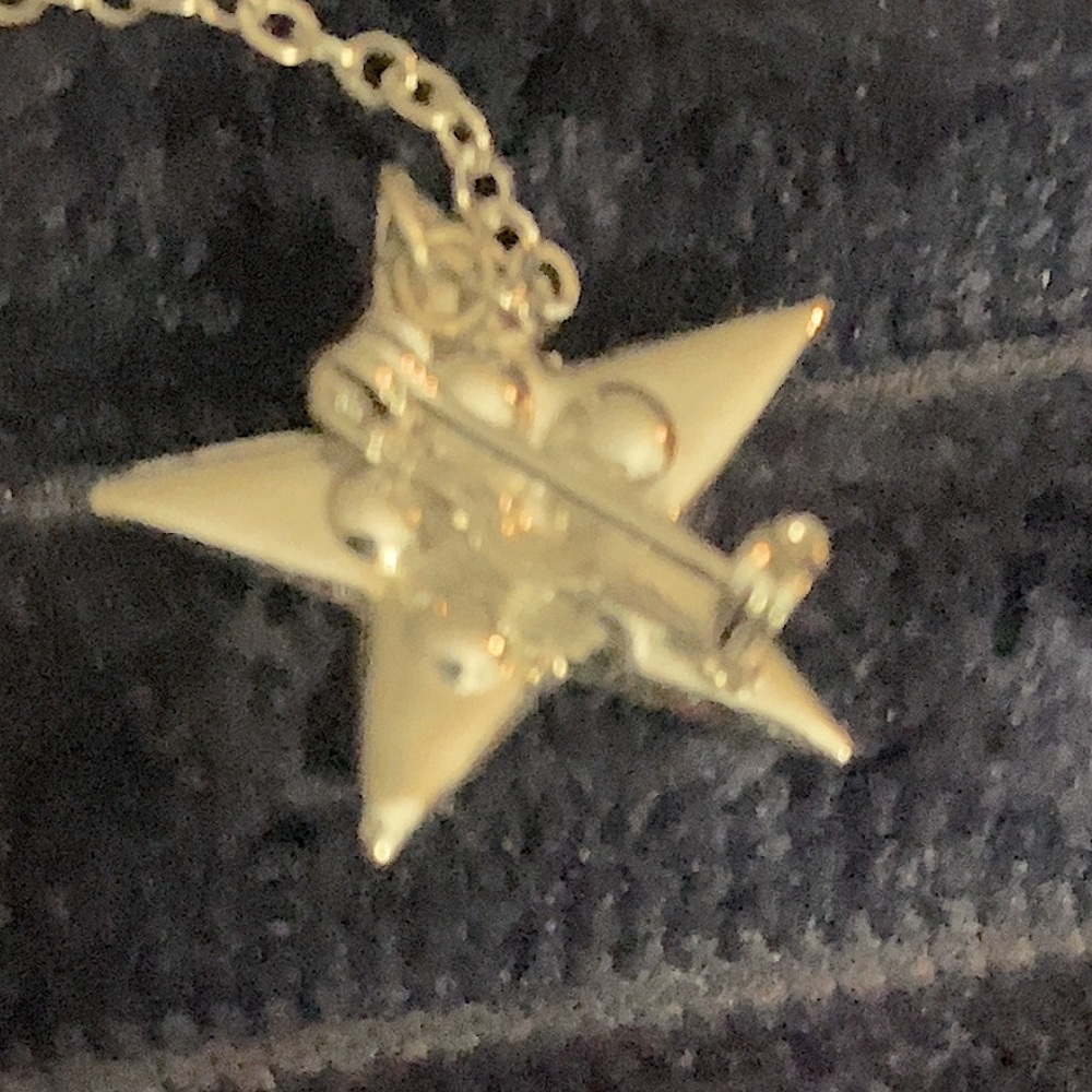 Vintage Order of the Eastern Star Holy Bible Brooch Pin Mason Masonic - Picture 4 of 6